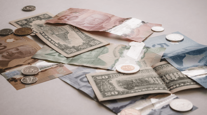 ニューフィールズ　FX自動売買　口コミ　評判　詐欺